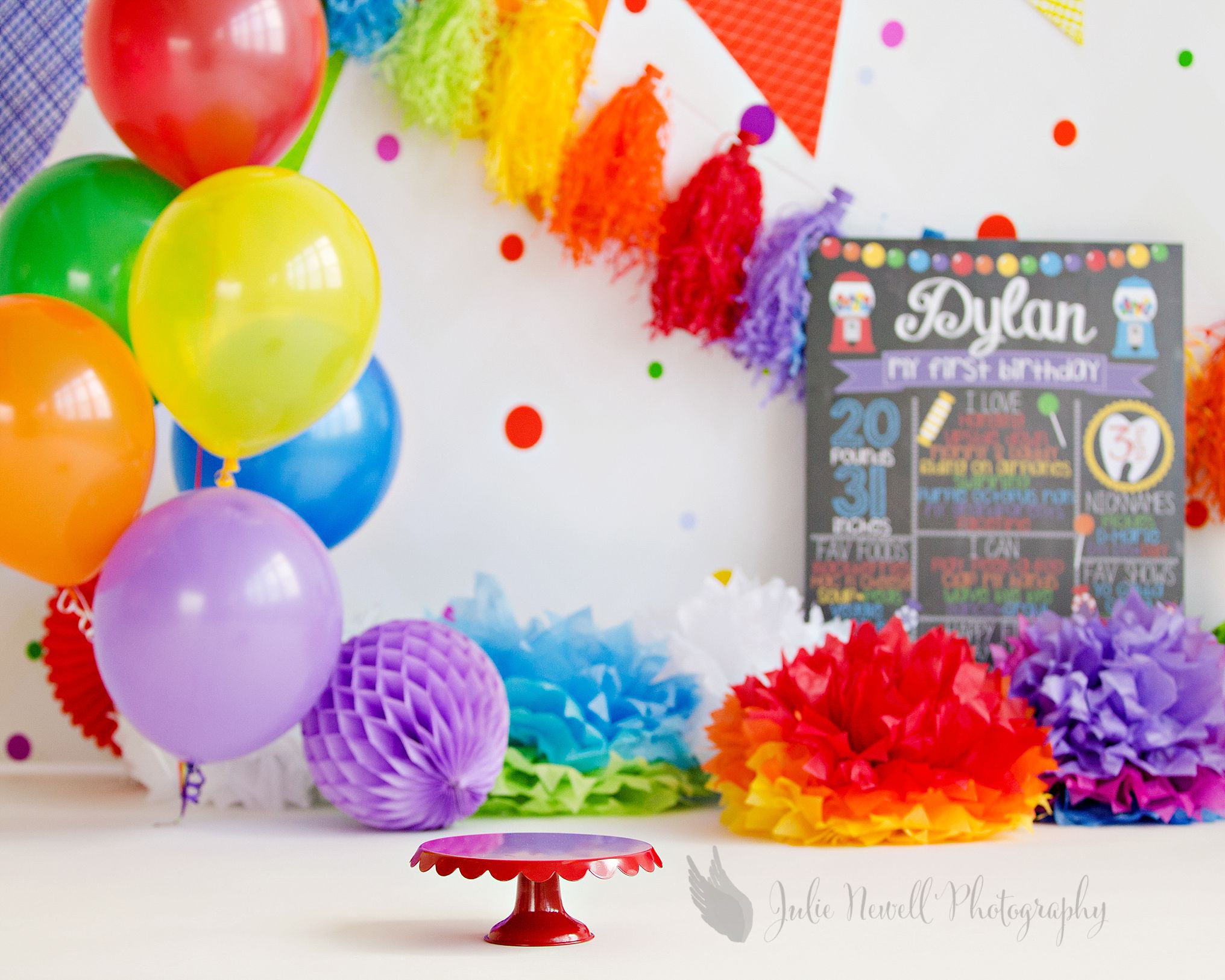 Rakestraw Chicago Baby Photographer Julie Newell Photography